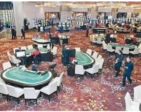 乐天堂app电脑免费版