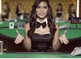 乐天堂app电脑免费版